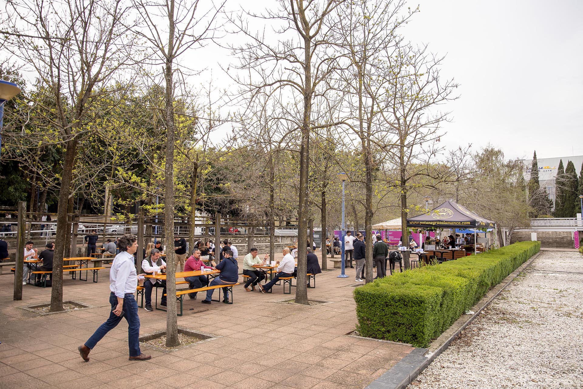 Ctx19marzoraw 1426(procesado)